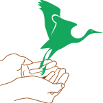 A pair of hands outlined in brown are held cupped together with a green colored crane flying out.