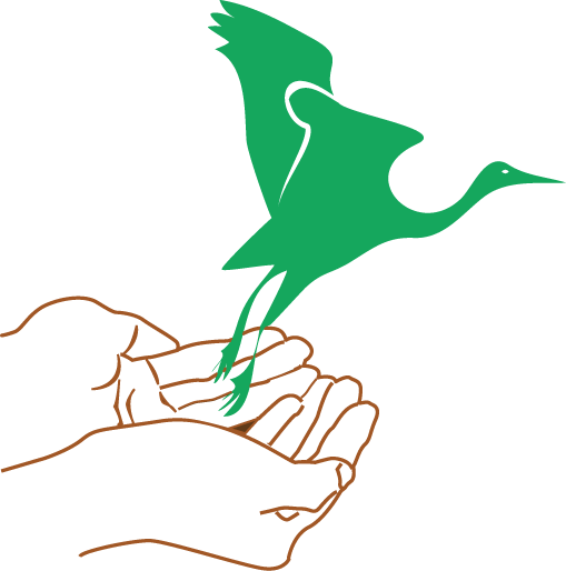 A pair of hands outlined in brown are held cupped together with a green colored crane flying out.